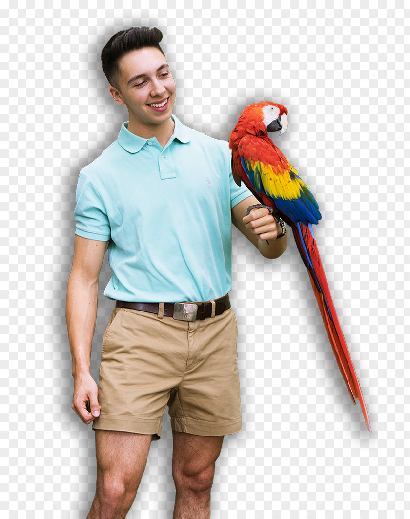 Parrot Mountain And Gardens Scarlet Macaw Bird PNG