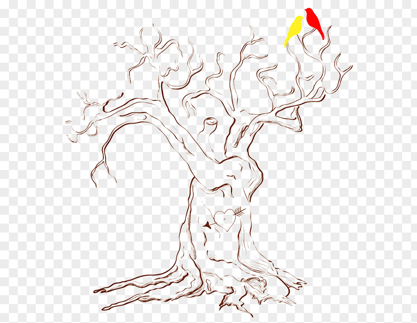 Tree Drawing Branch Clip Art PNG