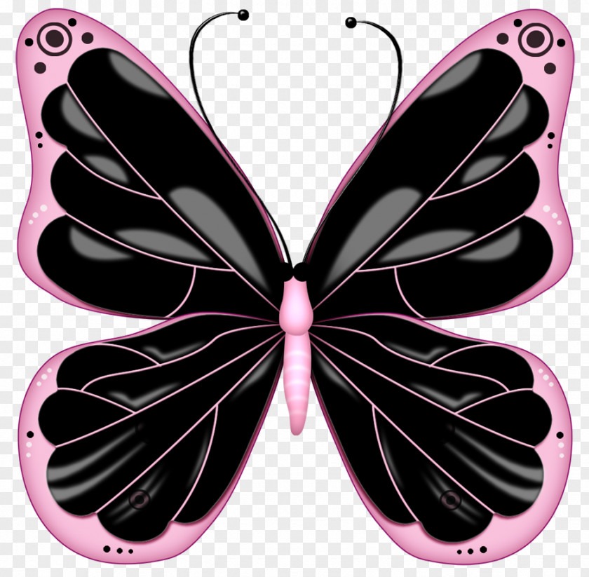 Black And Pink Transparent Butterfly Clipart Clip Art PNG