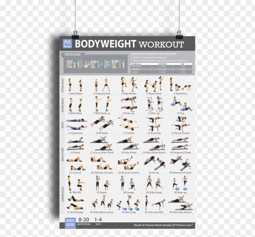 Bodyweight Exercise Fitness Centre Dumbbell Physical PNG