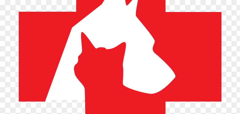 Cat Logo Dog Mammal Canidae PNG