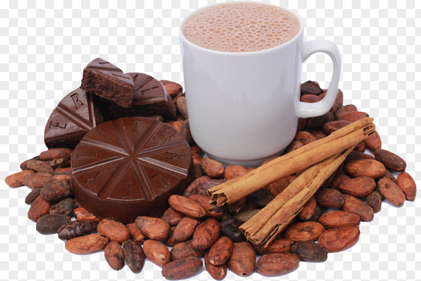 Chocolate Cocoa Bean Tejate Theobroma Cacao Solids PNG