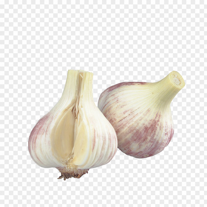 Garlic Organic Food Vegetable Allicin Ingredient PNG