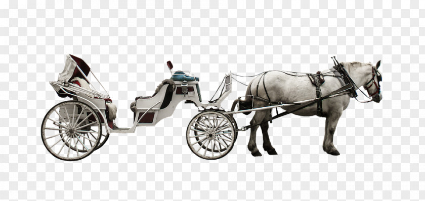Horse Horse-drawn Vehicle Carriage And Buggy Coach PNG