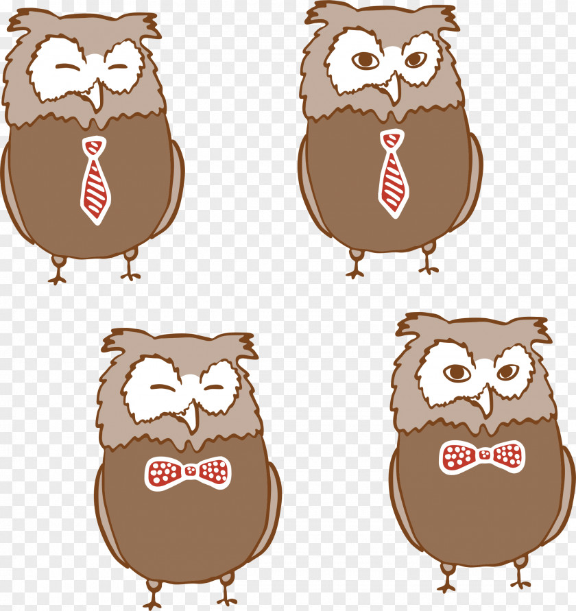 Owl Photography Clip Art PNG