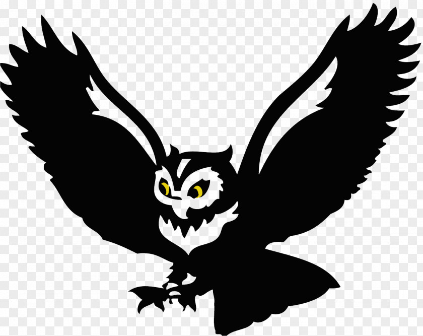 Surprised Owl Drawing Clip Art Bird Image PNG