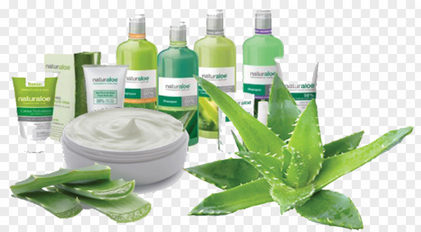 Aloe Vera Skin Nail Cream PNG