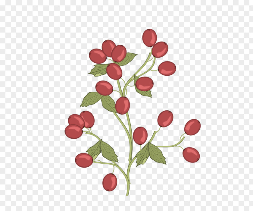 Clipps Sign Lingonberry Pink Peppercorn Radish Flower PNG