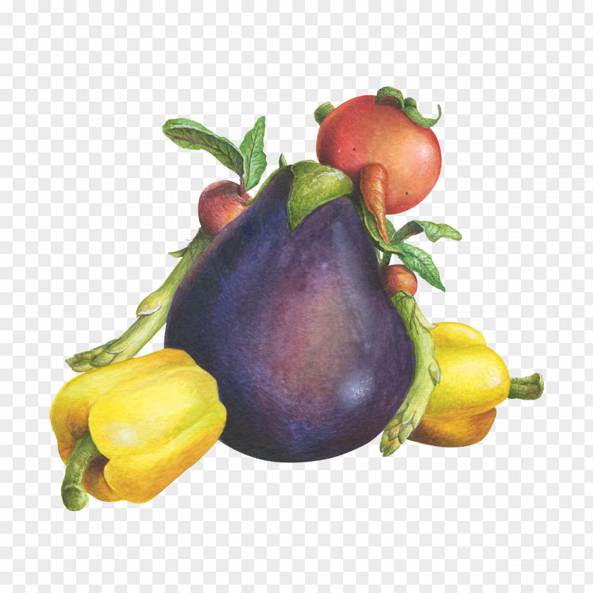 Gathering Vegetables Eggplant Tomato Food PNG