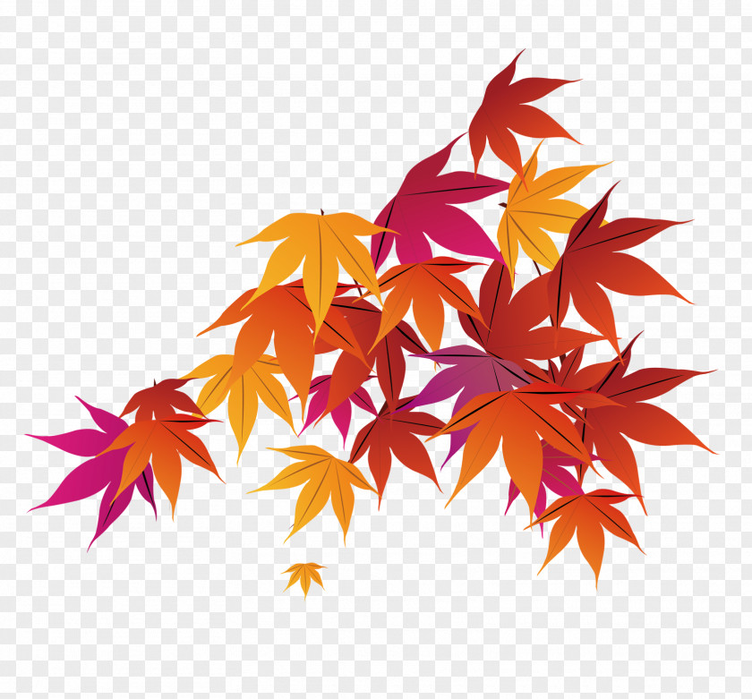 Maple Leaf Decoration Red Autumn PNG