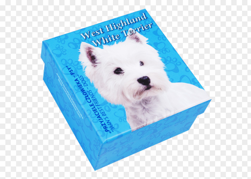 Puppy West Highland White Terrier Dog Breed PNG
