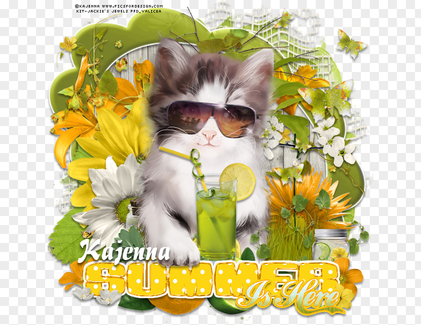 Sold Here Kitten Cat Whiskers Photomontage Flower PNG