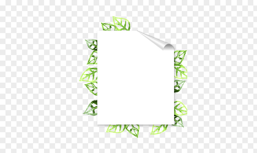 Square Border Design Leaf Rectangle Logo PNG