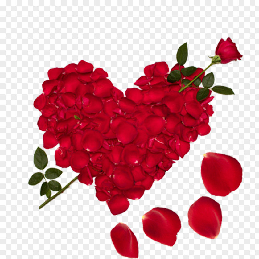 Heart Rose Love Girlfriend Boyfriend Friendship PNG