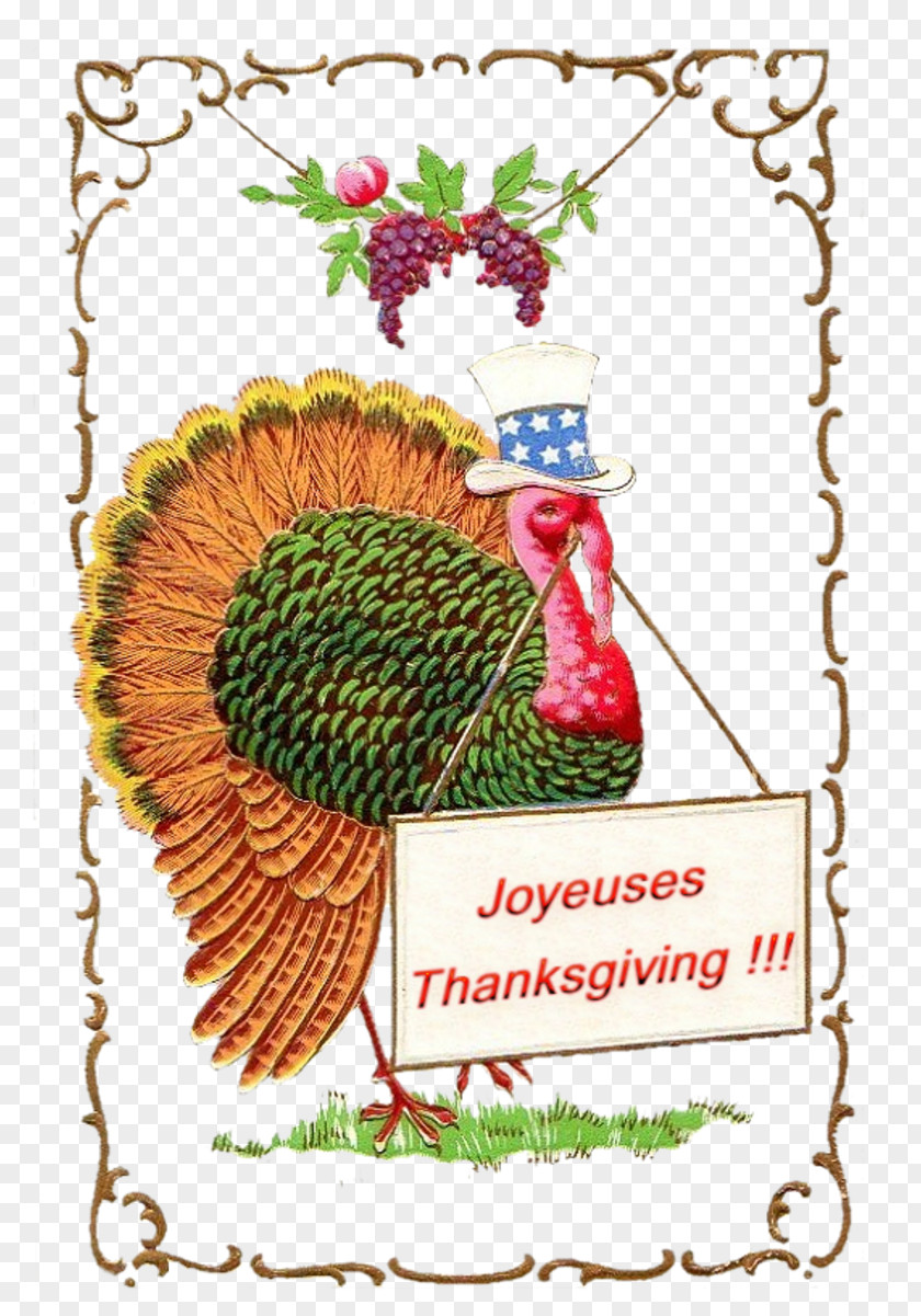 Turkey Shoots, Roots And Leaves Thanksgiving Harvest Festival Post Cards Rooster PNG