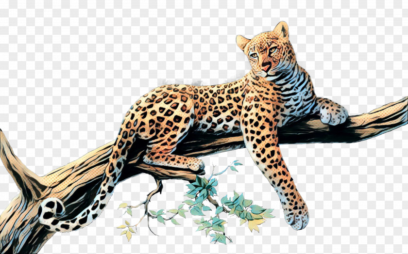 Wild Cat Leopard Small To Medium-sized Cats Terrestrial Animal Wildlife PNG