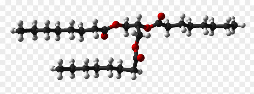 Dinamite Axona Trans Fat Acid Gras Omega-3 Glycerol PNG