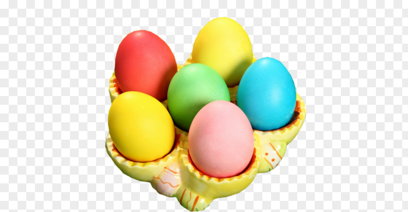 Egg Food Coloring Environment Day Drawing PNG