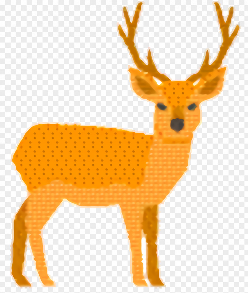 Fur Elk Orange Background PNG