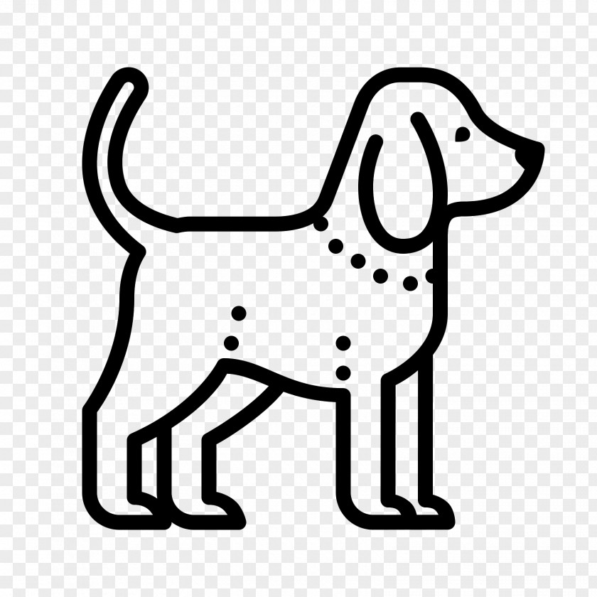 Beagle Drawing Dog PNG