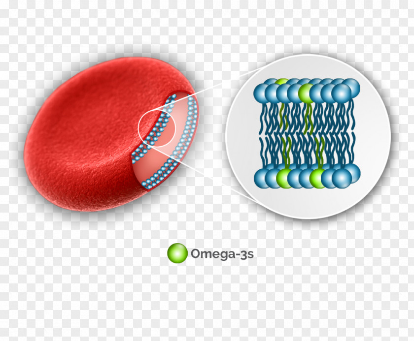Blood Cells Omega-3 Fatty Acids Red Cell PNG