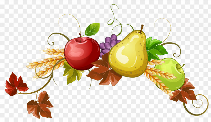 Fruits Basket Fruit Autumn Clip Art PNG