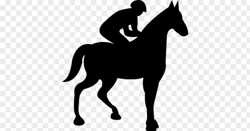 Horse Jockey Clip Art PNG