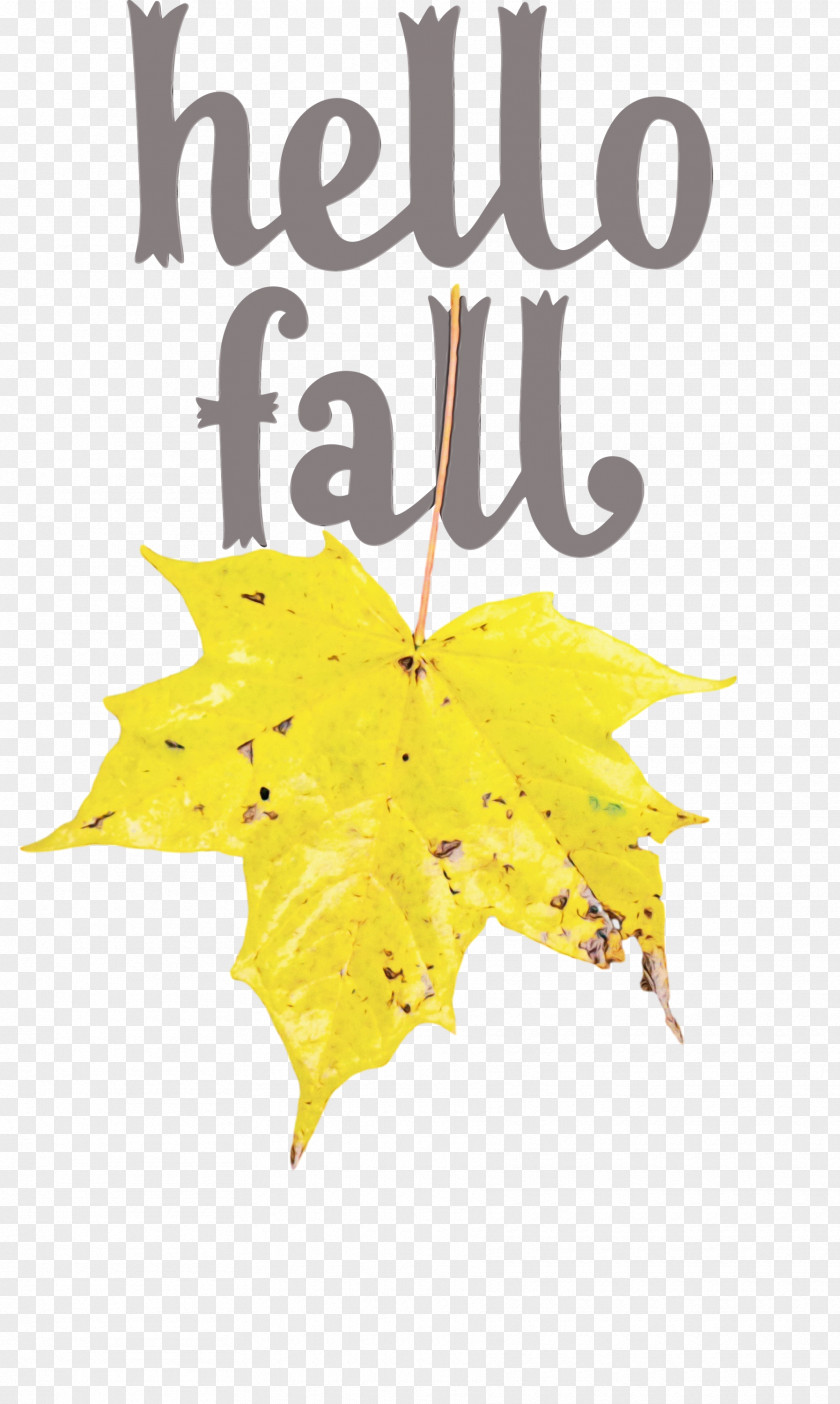 Leaf Maple Leaf / M Yellow Font Tree PNG