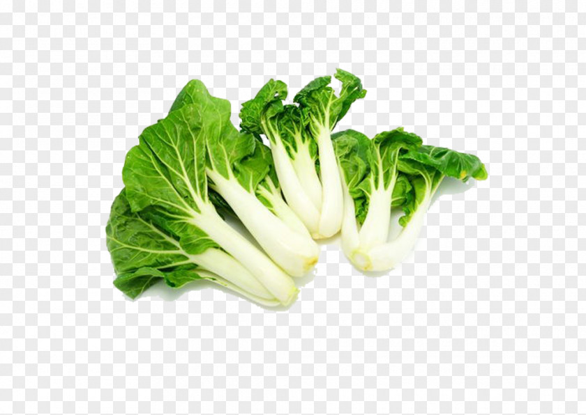 Organic Cabbage Chinese Spring Greens Napa Leaf Vegetable Broccoli PNG