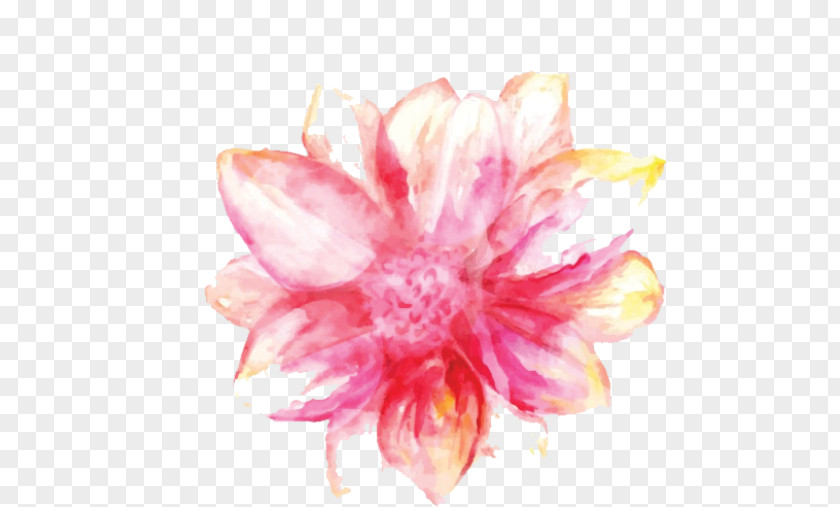 Painting Watercolor Pink Flowers PNG