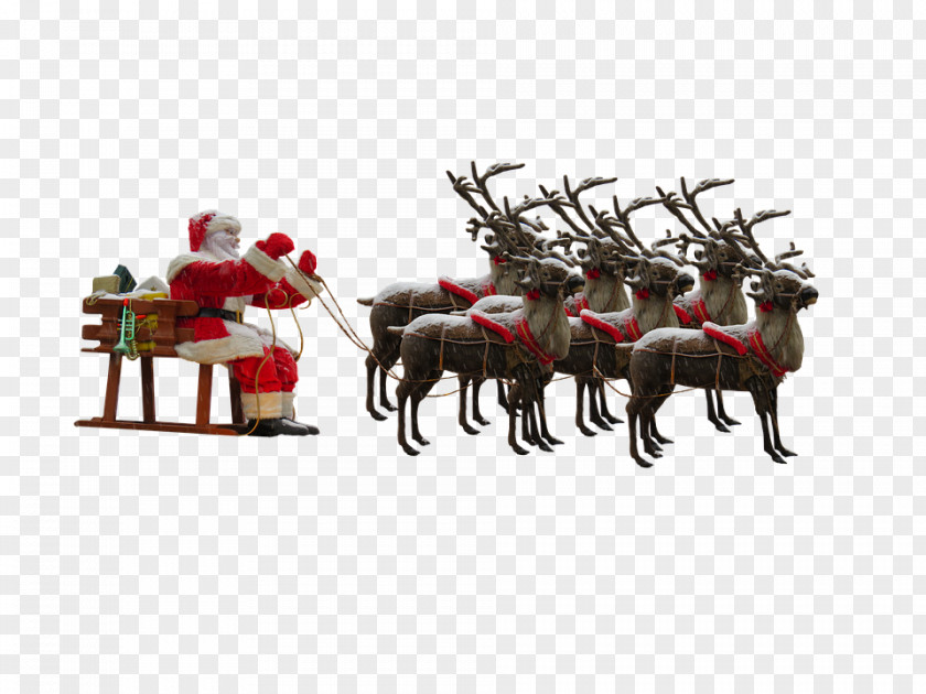 A Group Of Deer Pulling Santa Claus Reindeer Christmas PNG