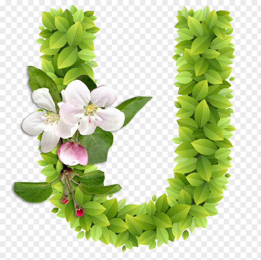 Flower Letter Alphabet Clip Art Letras PNG