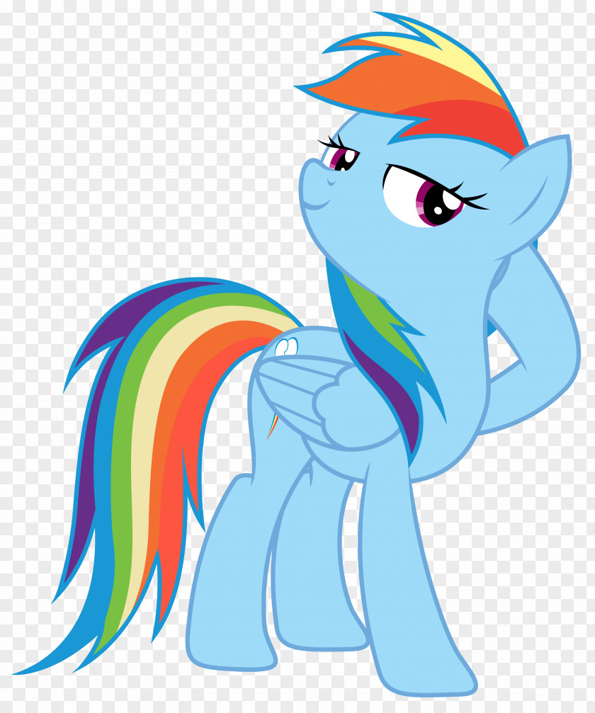 Koh Phi Rainbow Dash Pinkie Pie Pony Fluttershy Applejack PNG