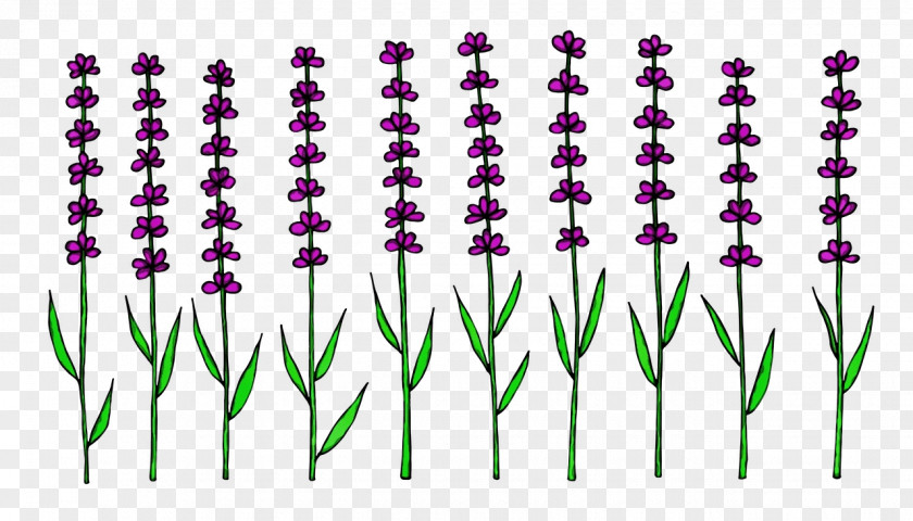 Lavender PNG