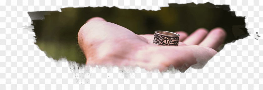 Ring Finger Gray Wolf Silver Viking PNG