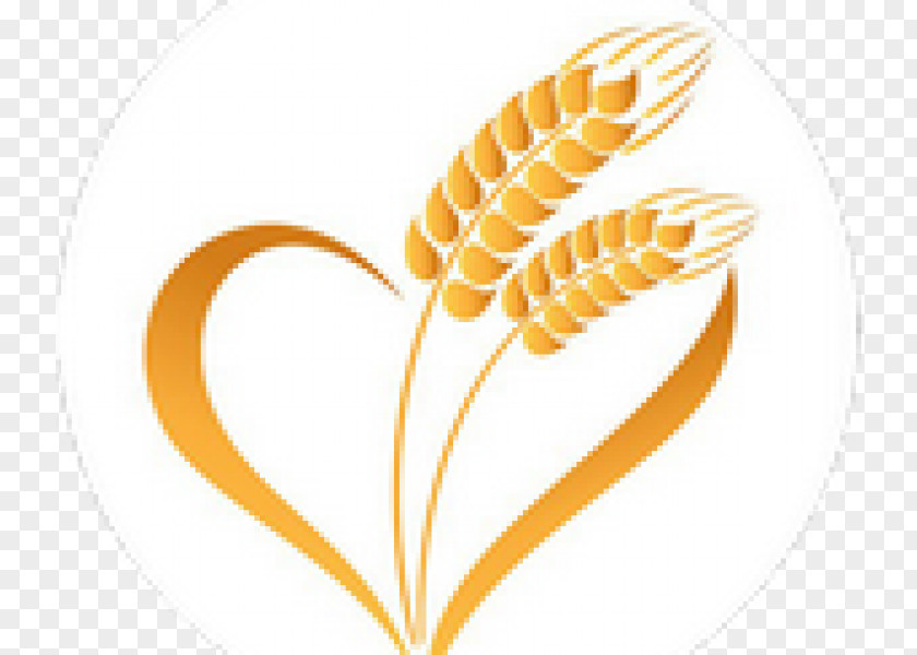 Wheat Caryopsis Ear Cereal Food Grain PNG