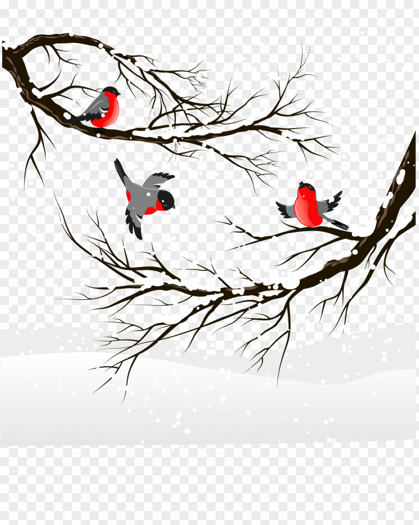 Winter Birds PNG