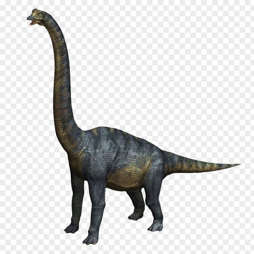 Blue Dinosaur Velociraptor Brachiosaurus Tyrannosaurus Baryonyx Triceratops PNG