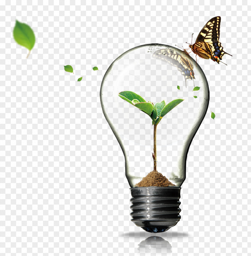 Creative Bulb Plant Incandescent Light Innovation PNG
