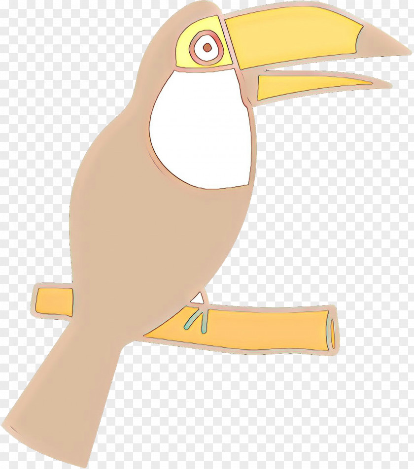 Toucan Beak Water Bird Product Design PNG