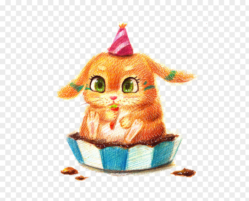 Birthday Kitten Cat Whiskers Illustration PNG