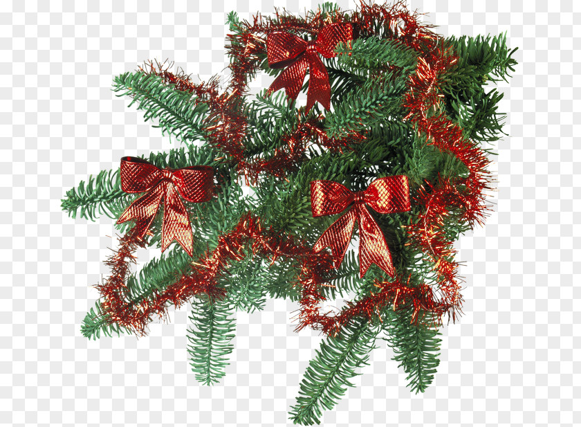 Ded Moroz New Year Tree Christmas Day Holiday PNG