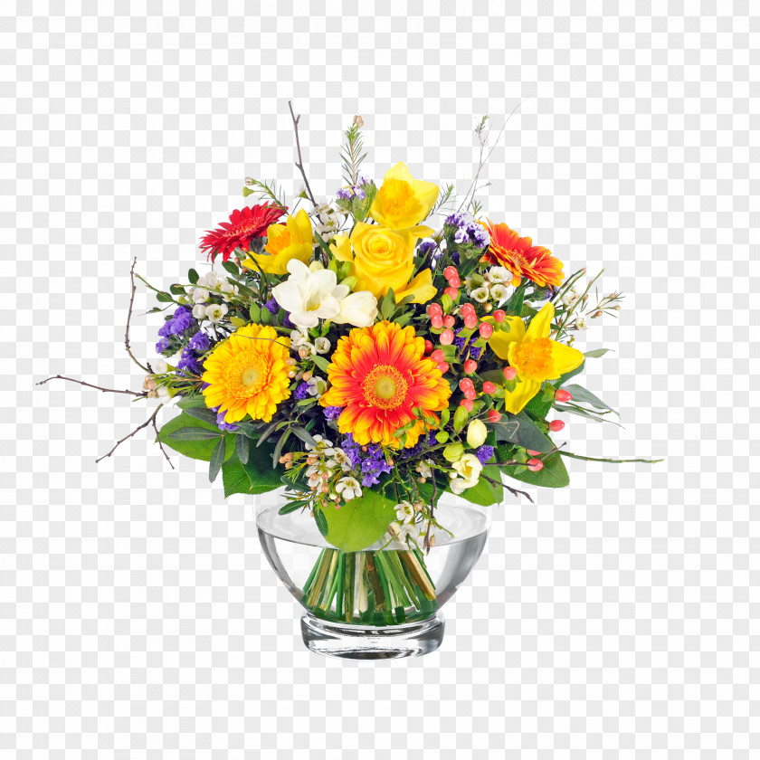 Flower Floral Design Bouquet Transvaal Daisy Cut Flowers PNG