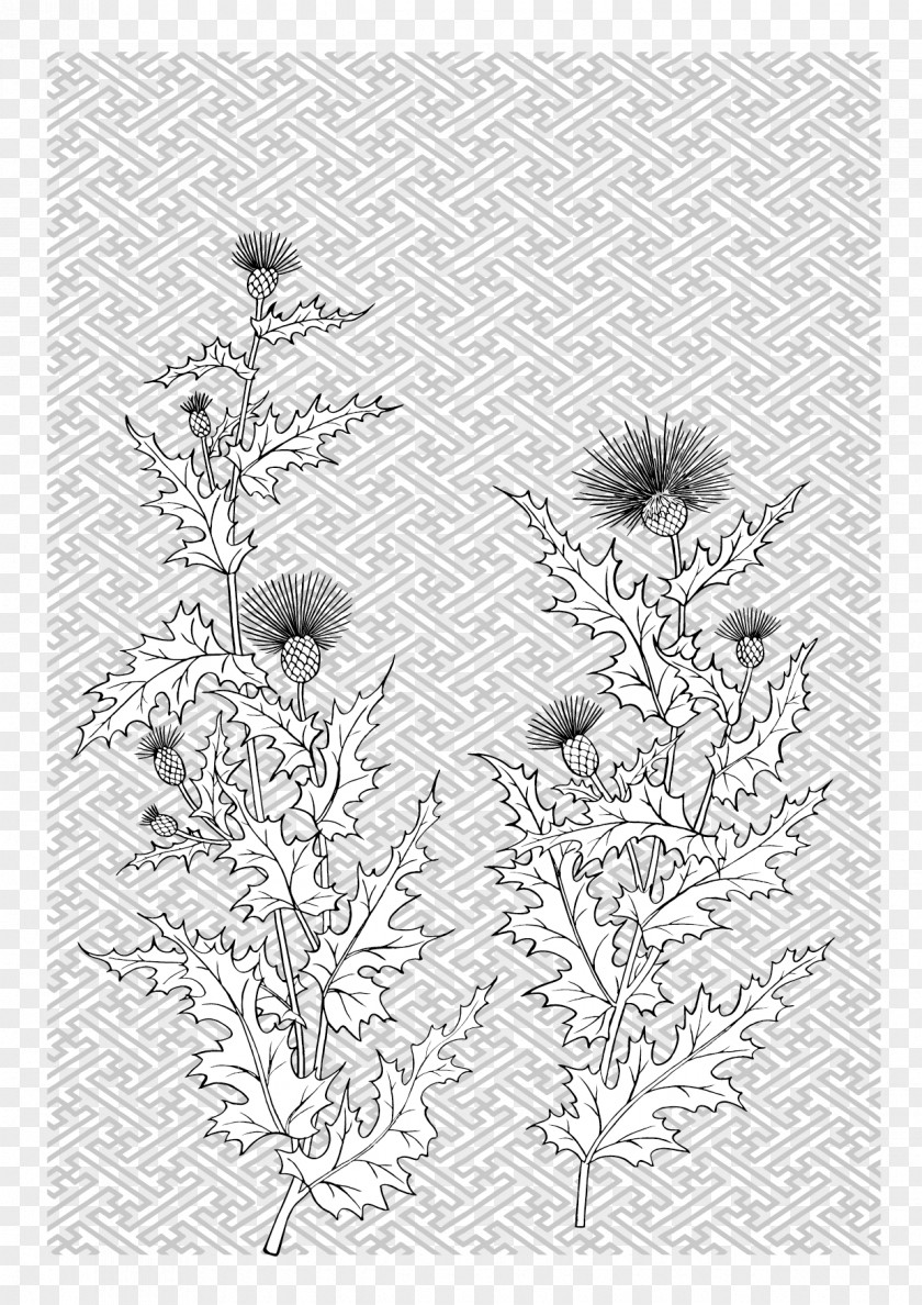 Japanese Line Drawing Of Plant Flowers Vector Material Flower PNG