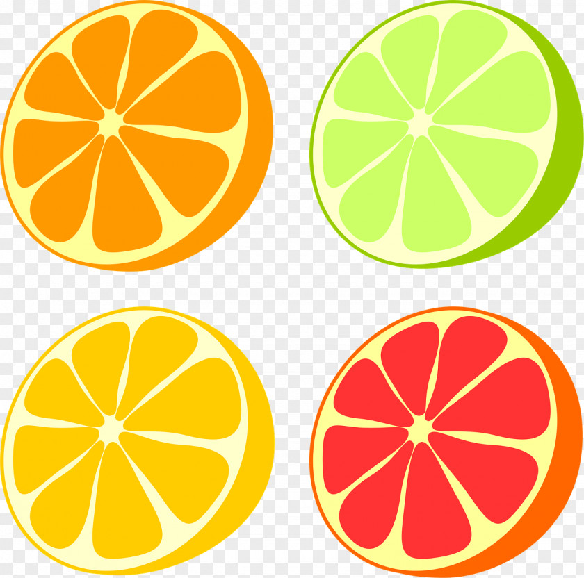Lemon Grapefruit Orange Pomelo Clip Art PNG