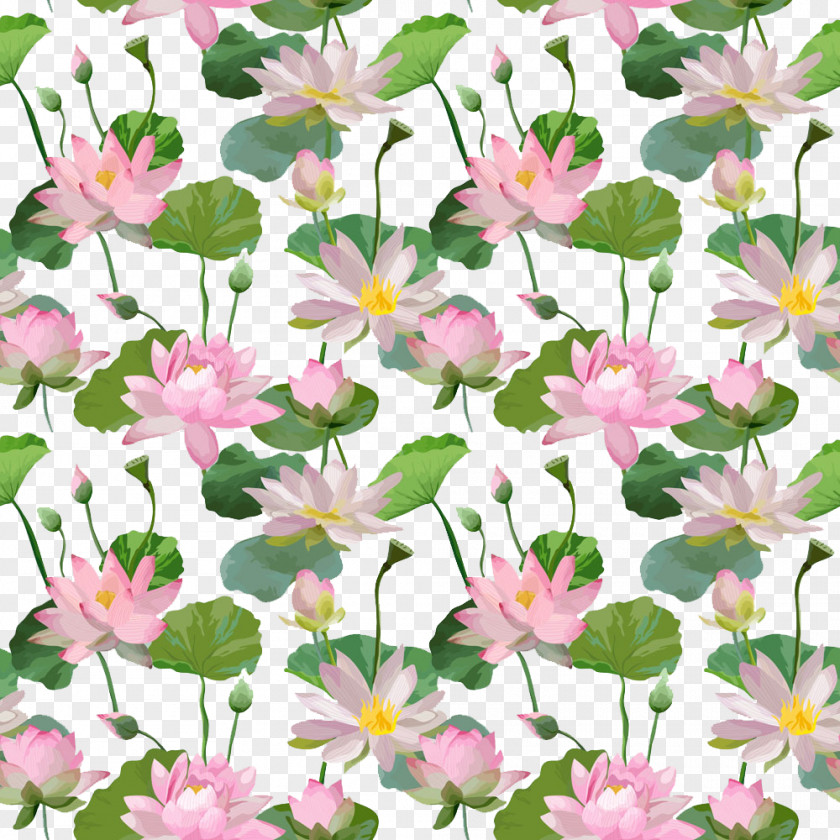 Pink Floral Background Nelumbo Nucifera PNG