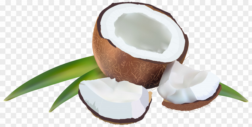 Coconut With Leaves Clipart Image PNG