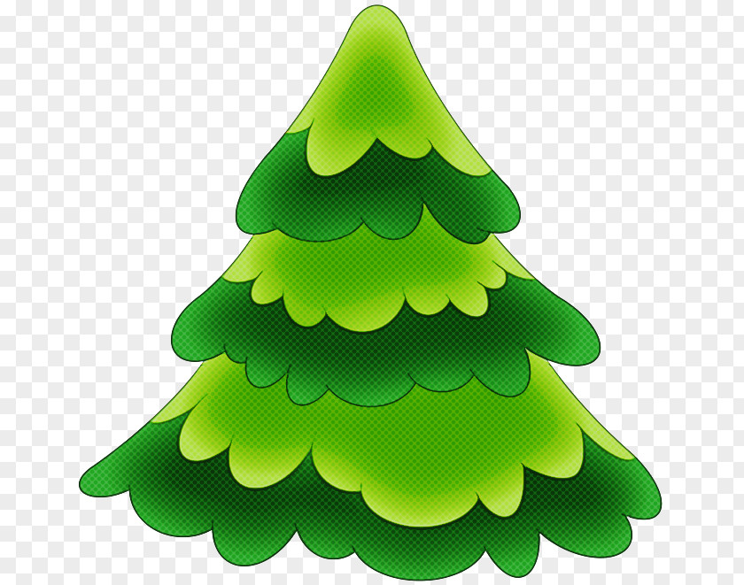 Conifer Pine Christmas Tree PNG