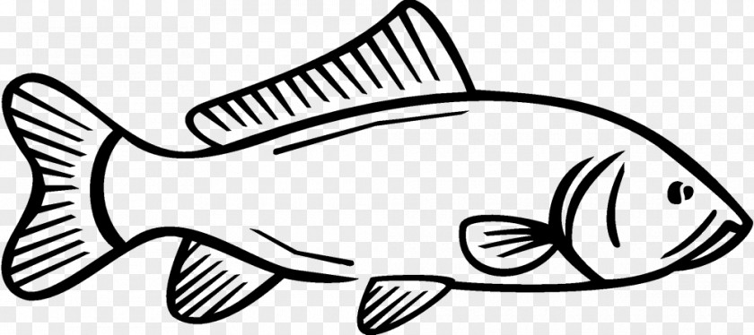Fish Carp Drawing Sticker Logo Clip Art PNG