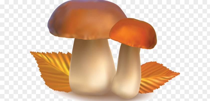 Mushroom Vegetarian Cuisine Organic Food Clip Art PNG